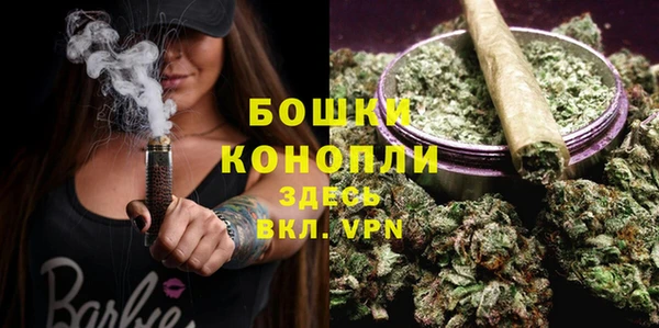 прущие грибы Богородск