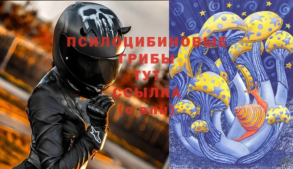 прущие грибы Богородск